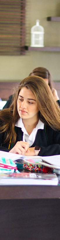 preparatorias-en-san-luis-potosi-idiomas-Instituto-Lomas-del-Real-movil.jpg