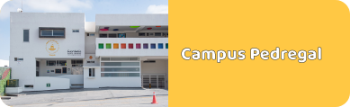 kinder-privado-en-san-luis-potosi-kinder-privado-en-san-luis-potosi-campus-pedregal
