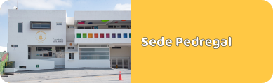 kinder-privado-en-san-luis-potosi-kinder-privado-en-san-luis-potosi-sede-pedregal