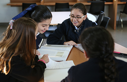 educacion-diferenciada-integral-Instituto-Lomas-del-Real-opc2